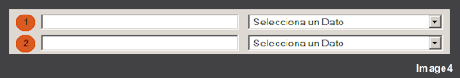 First, select the output format, the generator offers 5 different types, like shows Image 1: